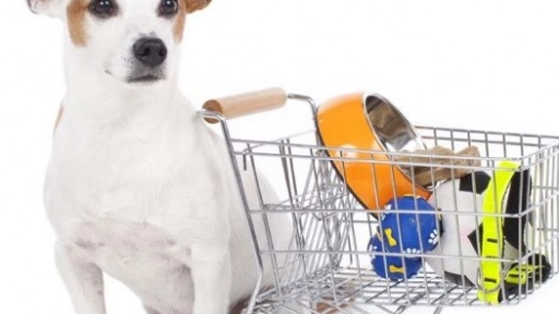 Tendencias: Llegan los primeros productos para perros con garantía