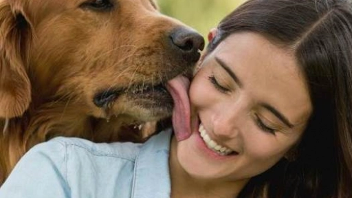#8M: Una de cada 10 mujeres ama más a su animal que a su pareja