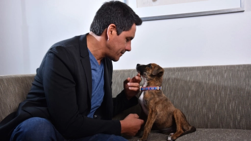 Pablo Macaya: Tengo  perros porque me gustan, los quiero y ellos a mí
