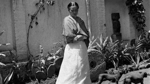 Amante de los animales& La naturaleza de Frida Kahlo