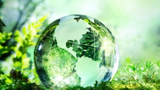 Día del Medio Ambiente: 10 consejos para cuidarlo