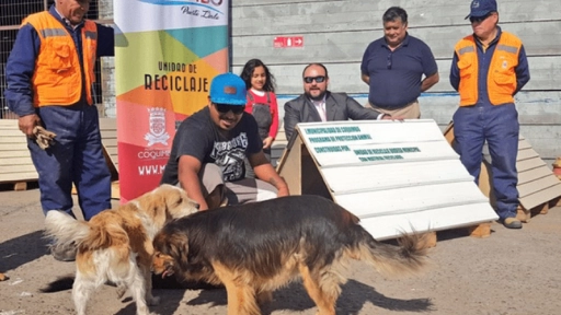 Coquimbo: Instalan casas para animales abandonados