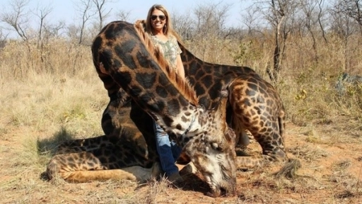 Repudio mundial a cazadora que se jactó de haber asesinado a un bello ejemplar de jirafa negra