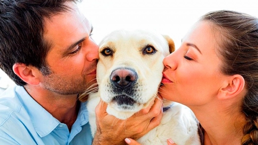 10 cosas que no debes decirle a un #DogLover o podrías perder su amistad