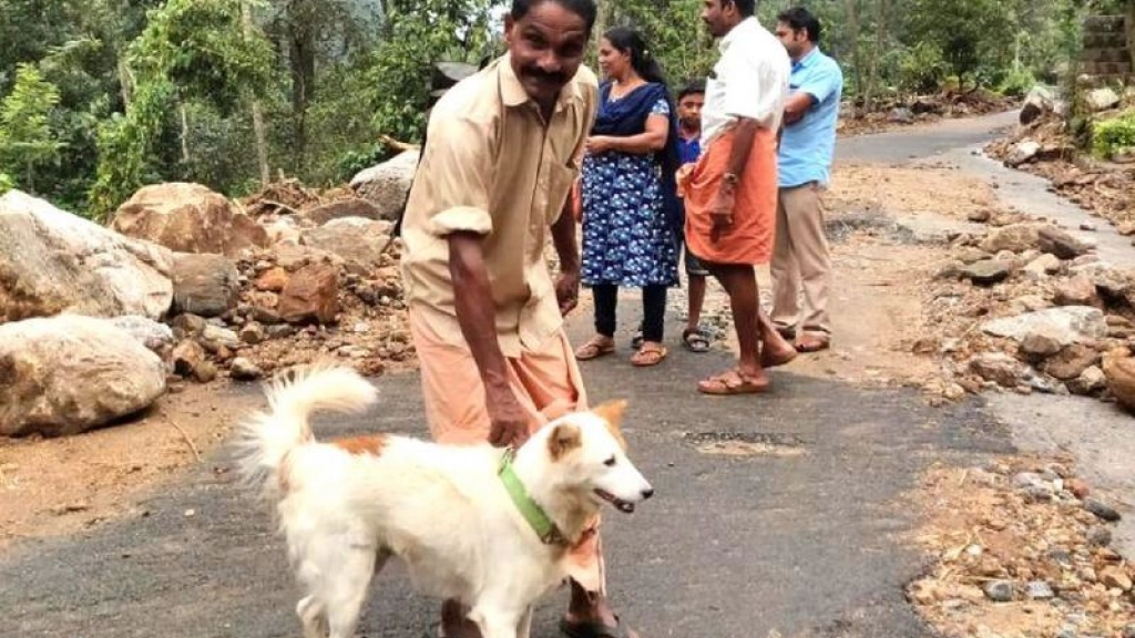 perro inundaciones India
