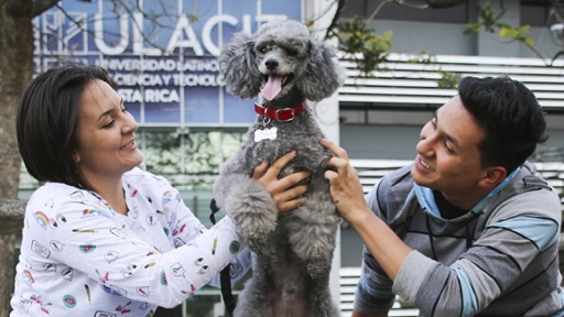 Universidad permite llevar a perros a clases