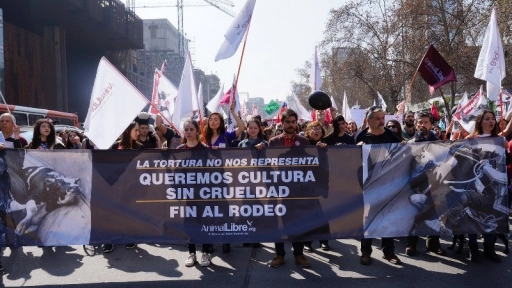 ¡Mañana! Marcha contra el rodeo a lo largo de Chile