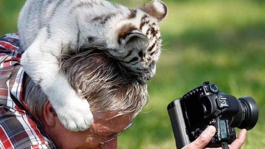 fotógrafo y animales