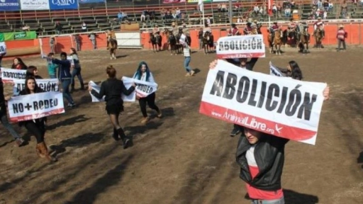 #NoEsDeporte: Activistas detienen rodeo en Parque Padre Hurtado