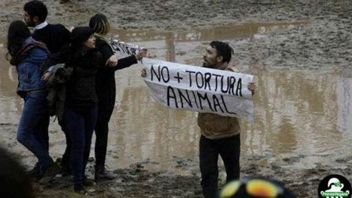 Activistas por la Liberación Animal detienen rodeo en el Parque Padre Hurtado