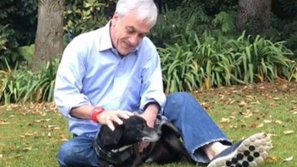Presidente Piñera, perro adoptado