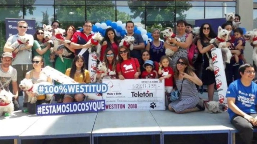 Westy's Chile se une para ayudar a la Teletón