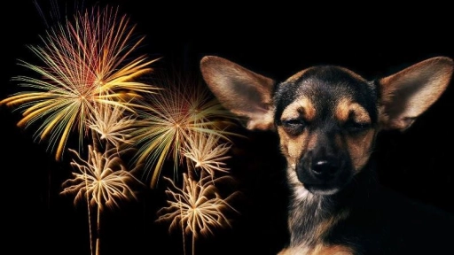 Penco no lanzará fuegos artificiales en su aniversario