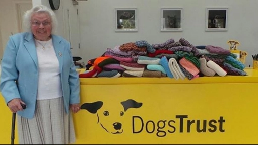 Abuela teje chalecos para proteger a los perros abandonados