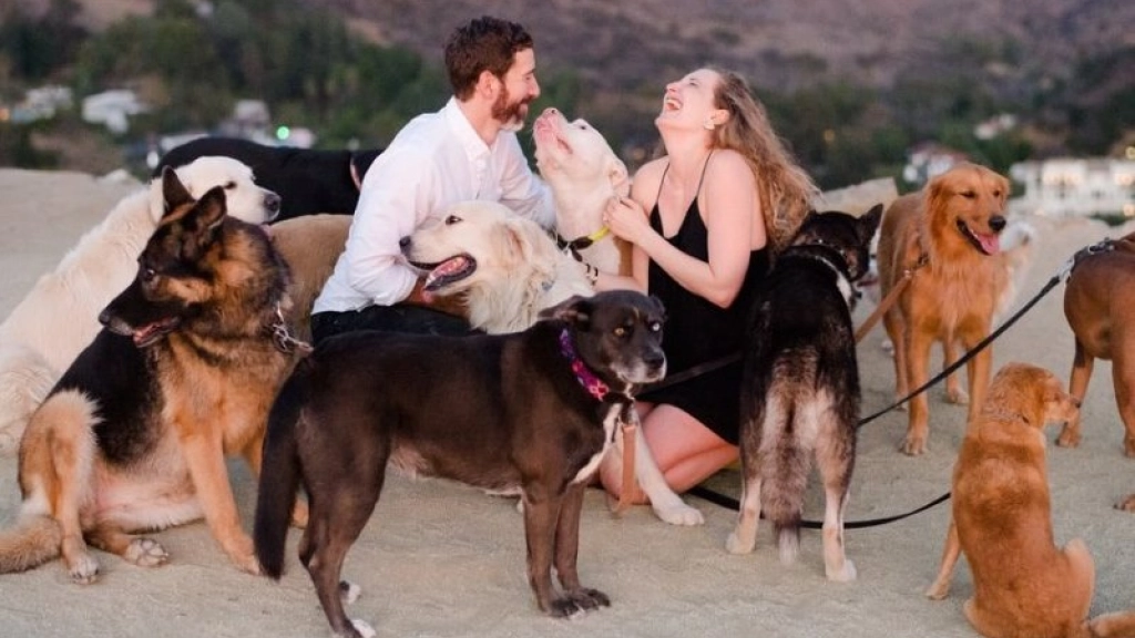 propuesta matrimonio perros