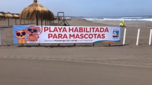 Municipalidad de Santo Domingo habilita playa para los animales