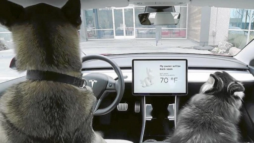Tesla implementa el modo perro en sus autos