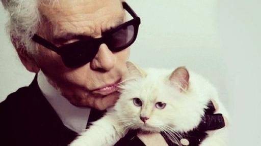 Muere Karl Lagerfeld: El diseñador amante de los gatos