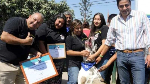 Perro más grande de Chile es embajador de la tenencia responsable