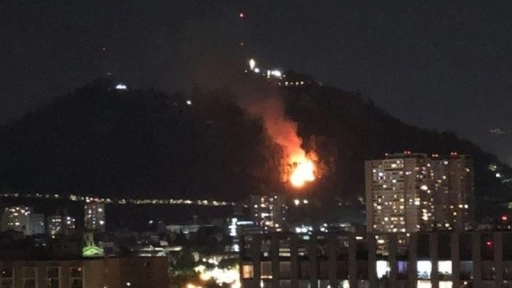 Incendio: Animales del Zoológico Nacional están fuera de peligro