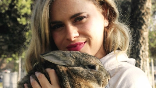 Bunny Lovers llama a no regalar conejos reales en Pascua