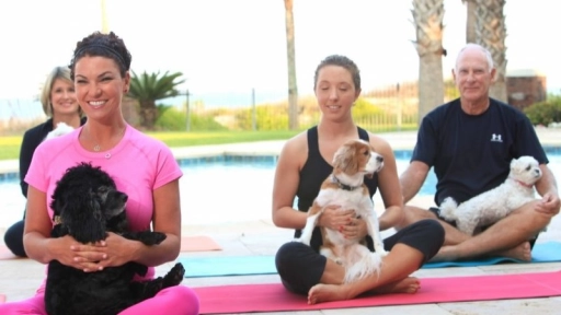 Realizarán yoga con perros en Parque Araucano