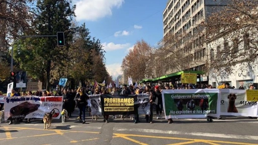 Marcha #NoMasCarrerasdePerros se toma la Alameda