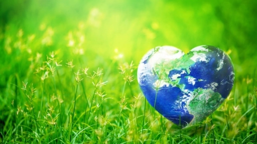 Día del Medio Ambiente: 10 consejos para cuidarlo