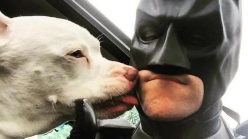''Batman'' rescata animales que van a ser sacrificados