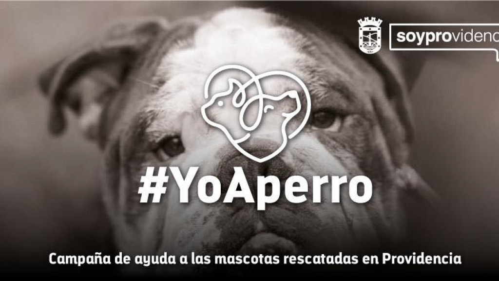 #YoAperro / 