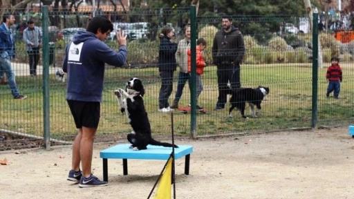 Vitacura cuenta con un parque para perros