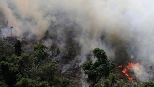 Presidente Piñera ofrece ayuda para combatir incendio del Amazonas