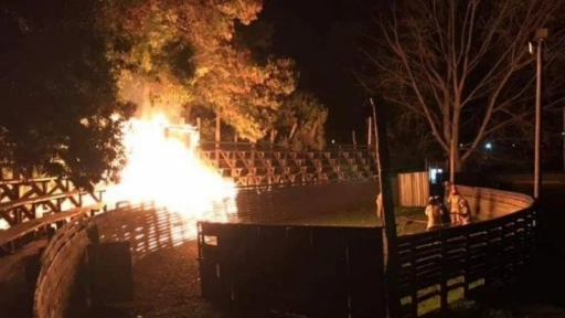 Rodeo: Incendio afecta medialuna en Paredones