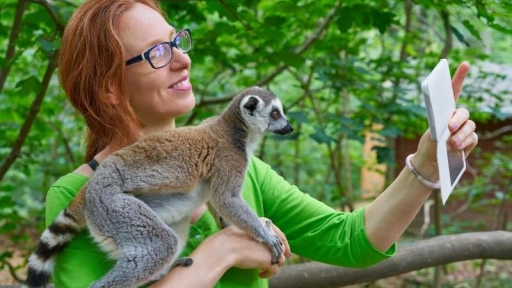 Aumentan cifras de selfies con animales salvajes