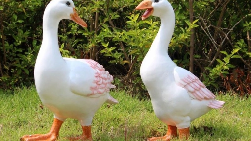 Italia y Reino Unido prohíben el foie gras