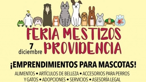 Jornada Petfriendly en Providencia