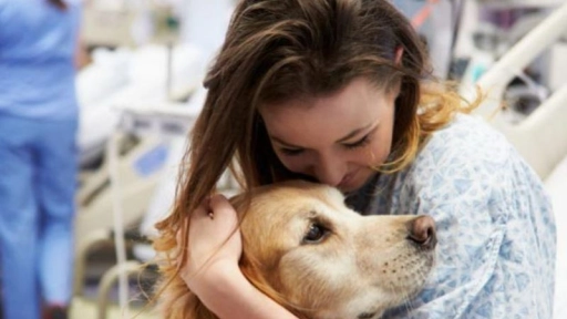 COVID-19: Perros de terapia apoyan a personal médico