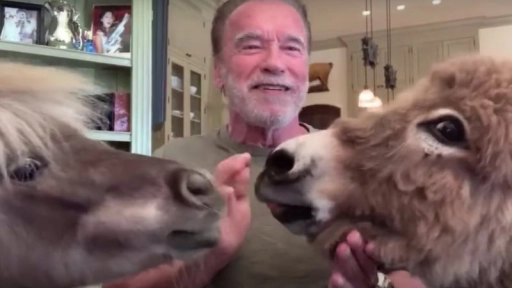 Arnold Schwarzenegger es interrumpido por sus animales durante entrevista