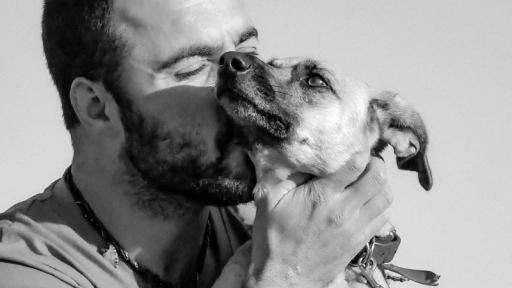 Historias con pulgas: Así vive el perro chileno