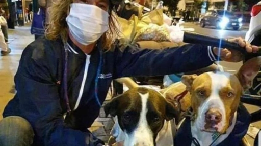 Hombre varado en Perú se niega a abandonar a sus perros