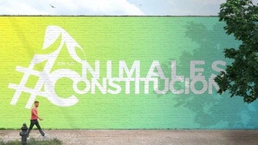 ¡Súmate a la campaña #AnimalesEnLaConstitución!