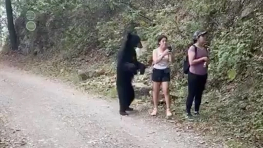 Joven es sorprendida por un oso y se toma una selfie