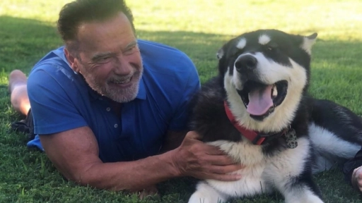Schwarzenegger presenta al nuevo integrante de la familia