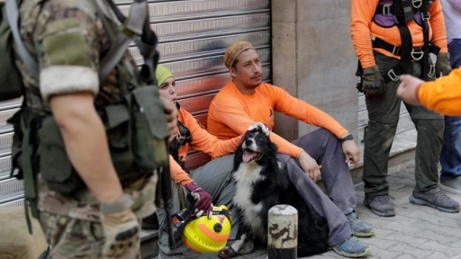 Perro de ´´Topos chilenos´´ es protagonista en Beirut