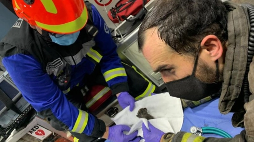 Bomberos rescatan gatitos de incendio en Parroquia