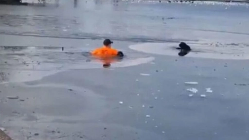 Hombre salta a lago congelado para salvar un perrito