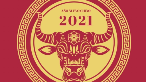 Ángeles Lasso: Predicciones para el año del búfalo de metal