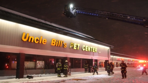 Mueren al menos 100 animales durante incendio en tienda de mascotas