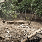 Aluvión destruye recinto de pumas en San Alfonso