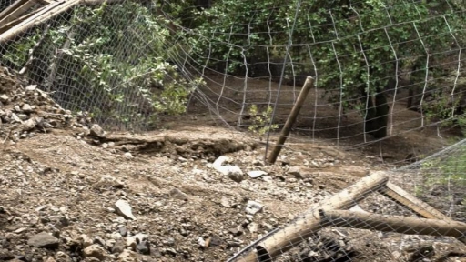 Aluvión destruye recinto de pumas en San Alfonso